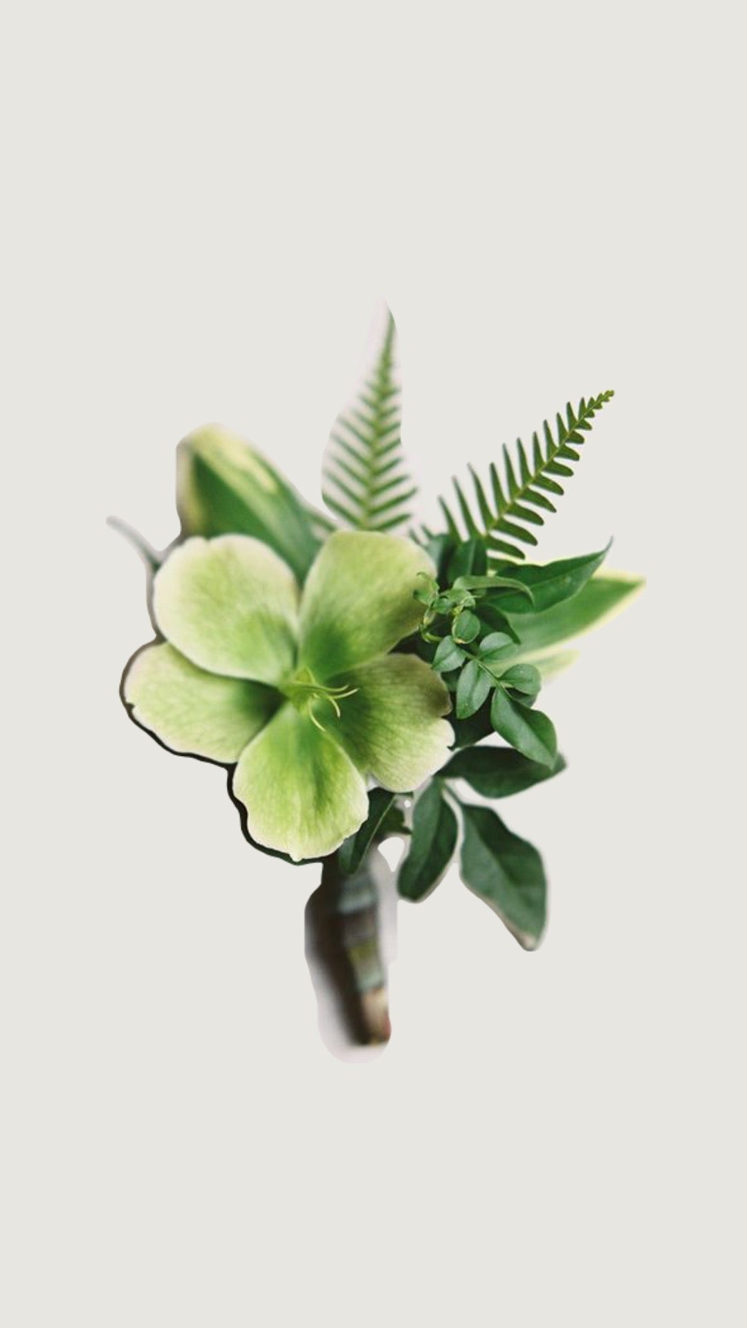 Basic Boutonniere